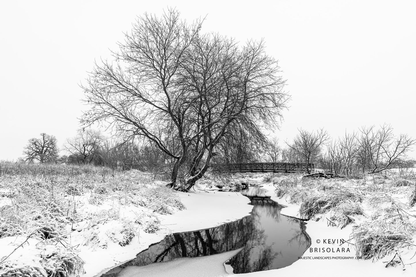 HOLIDAY GREETING CARDS 684-3410 SNOW, REFLECTIONS, EAKIN CREEK WEST, BOX ELDER TREES