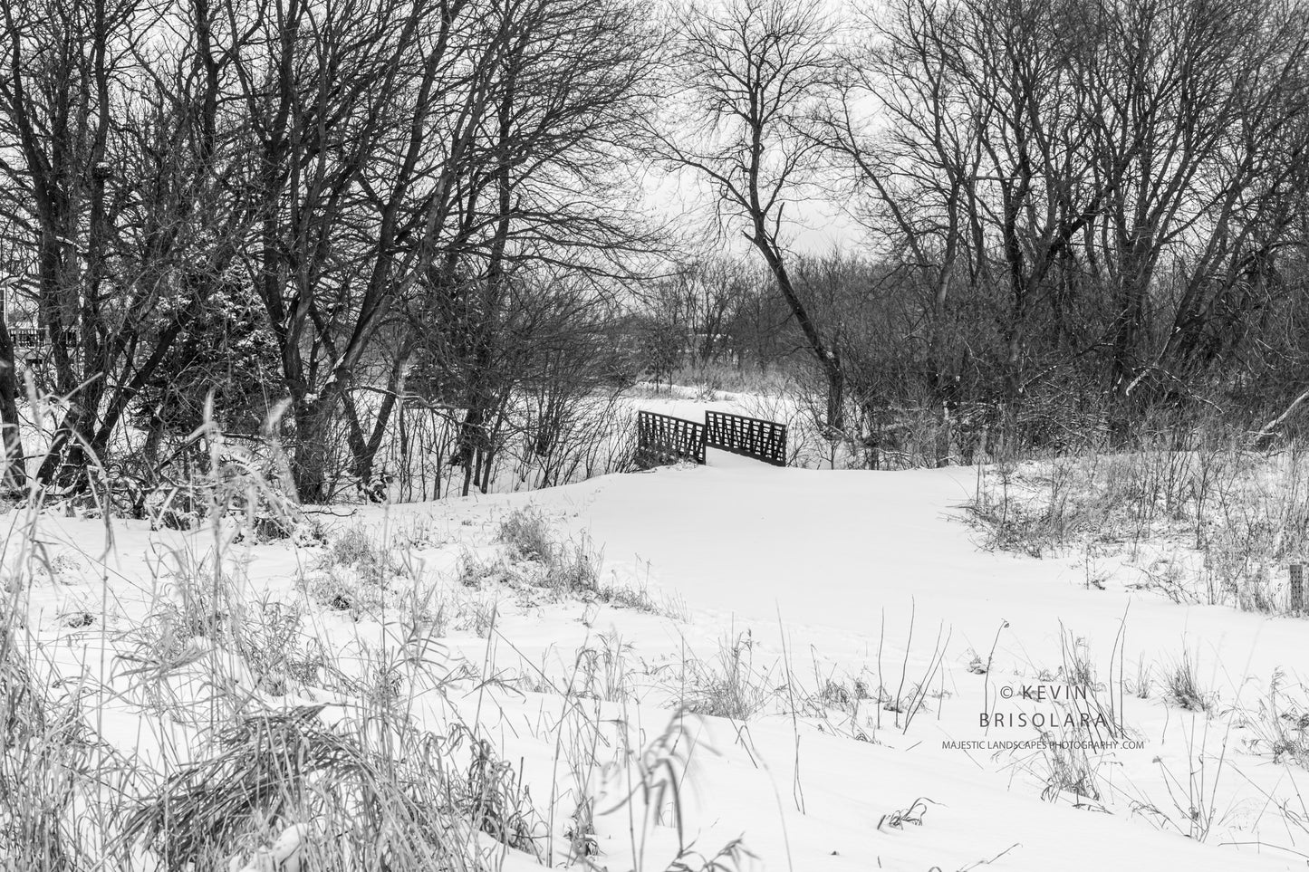 HOLIDAY GREETING CARDS 686-3490 SNOW, BRIDGE, B0X ELDER TREES
