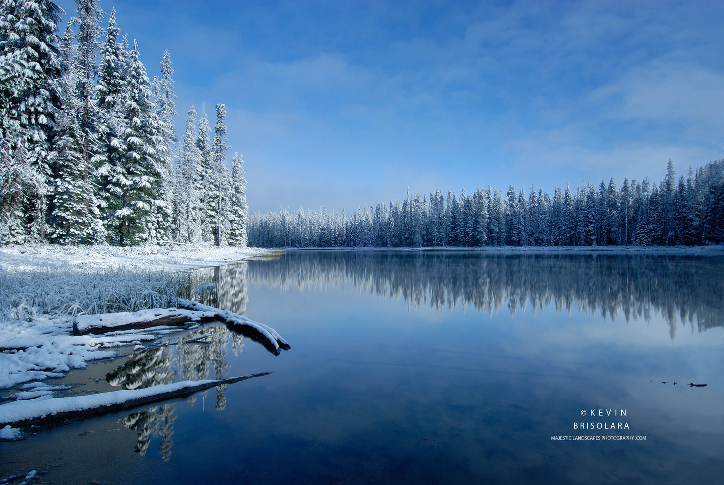 HOLIDAY GREETING CARDS 163-46 SCOTT LAKE