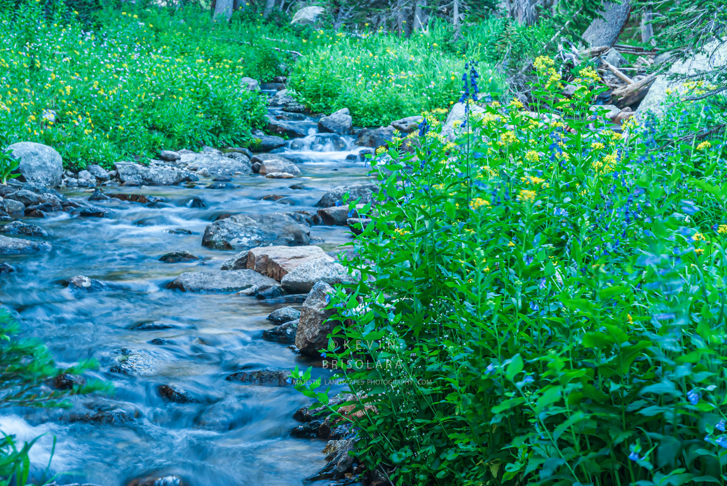 AN INSPIRING SCENE ALONG GLACIER CREEK