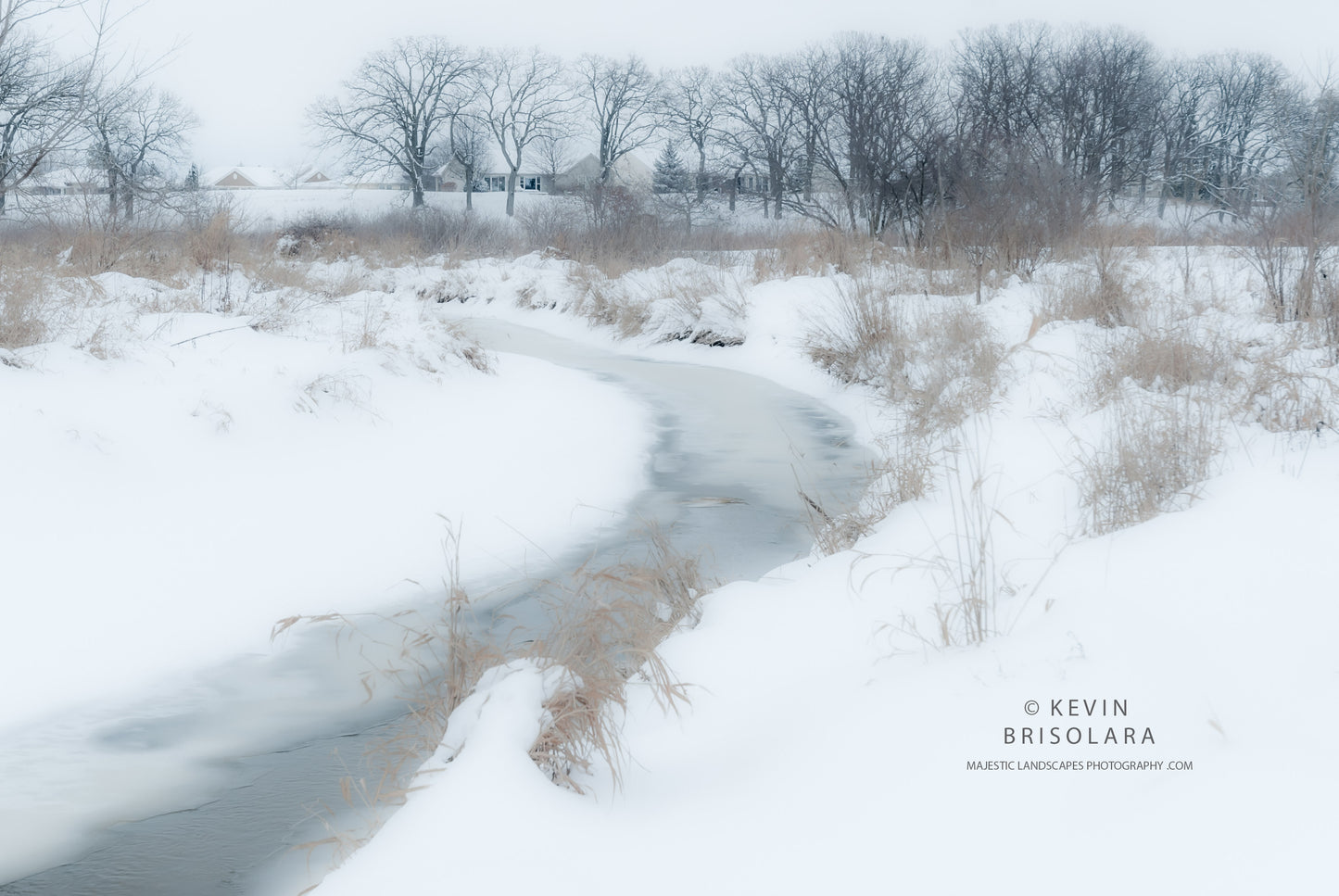 HOLIDAY GREETING CARDS 477-137 SNOW, ICE, OAK TREES, SOUTH FORK KISHWAUKEE RIVER