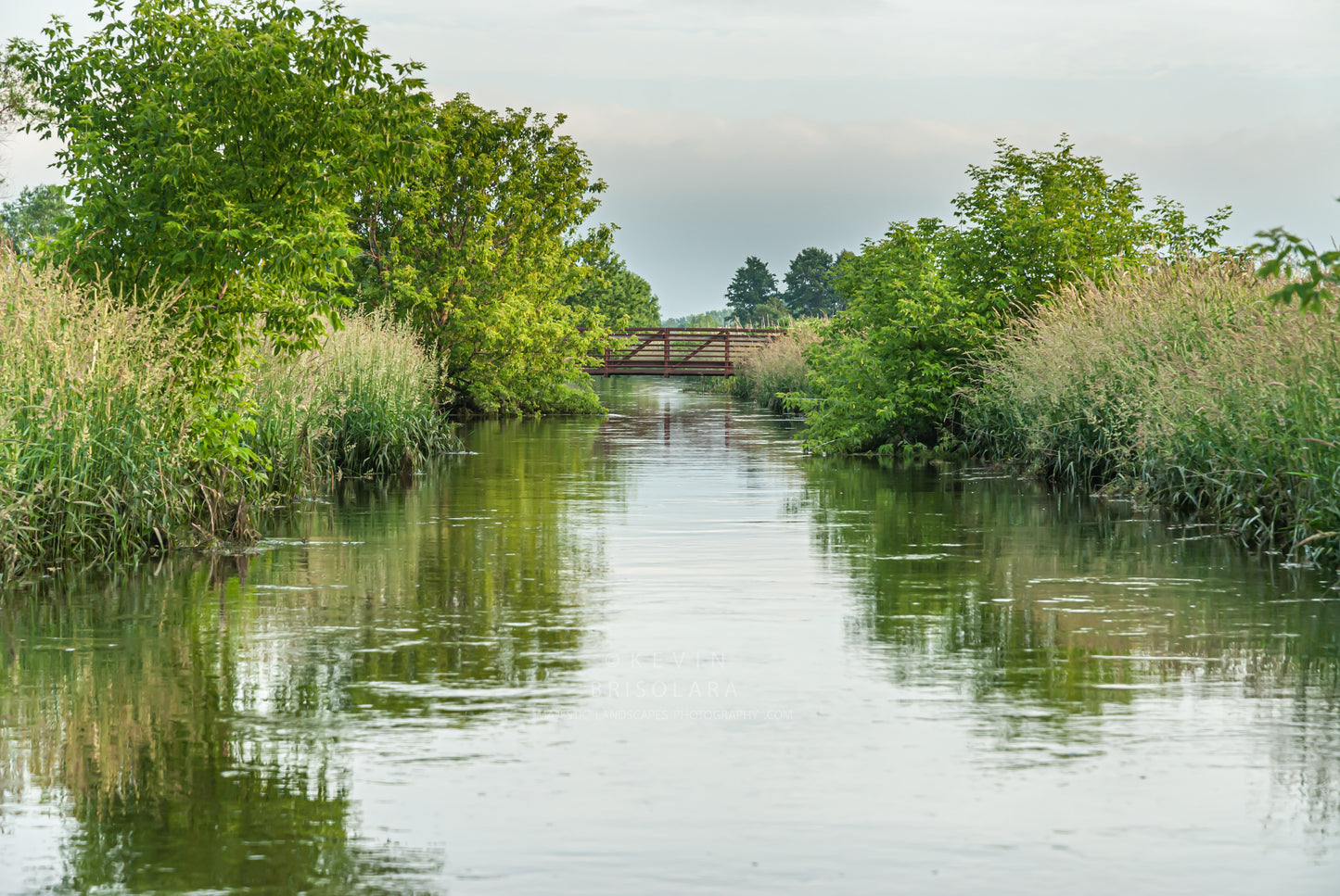 REFLECTIONS OF THE SUMMER MORNING