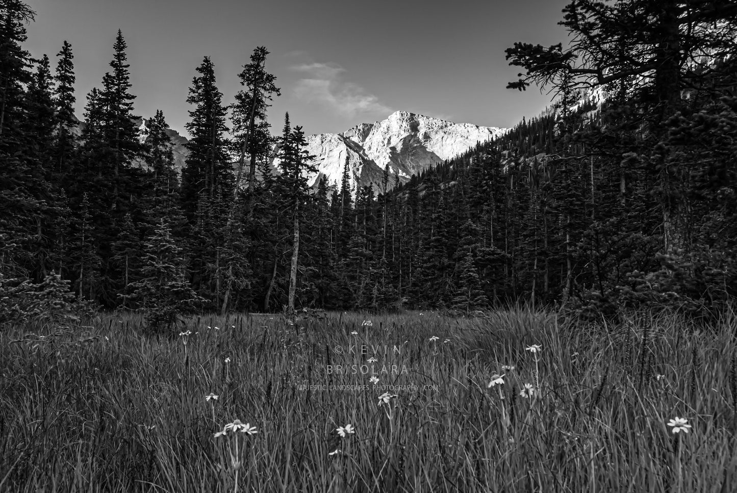 ENJOYING THE MAJESTIC VIEW FROM THE MEADOW