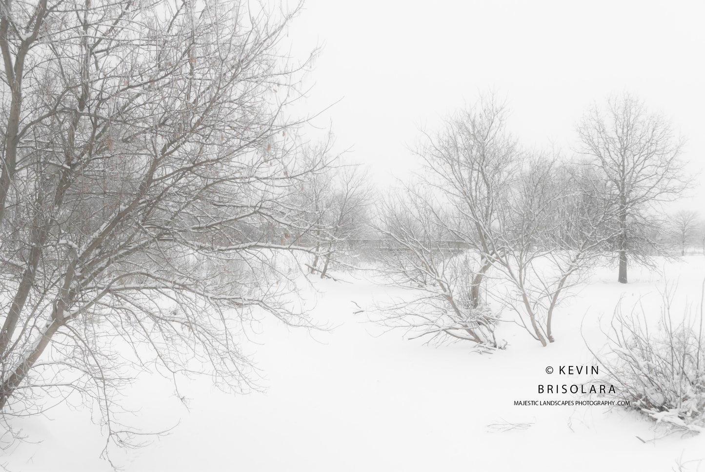 HOLIDAY GREETING CARDS 527-15 BRIDGE, SNOW, BOX ELDER TREES, SOUTH FORK KISHWAUKEE RIVER