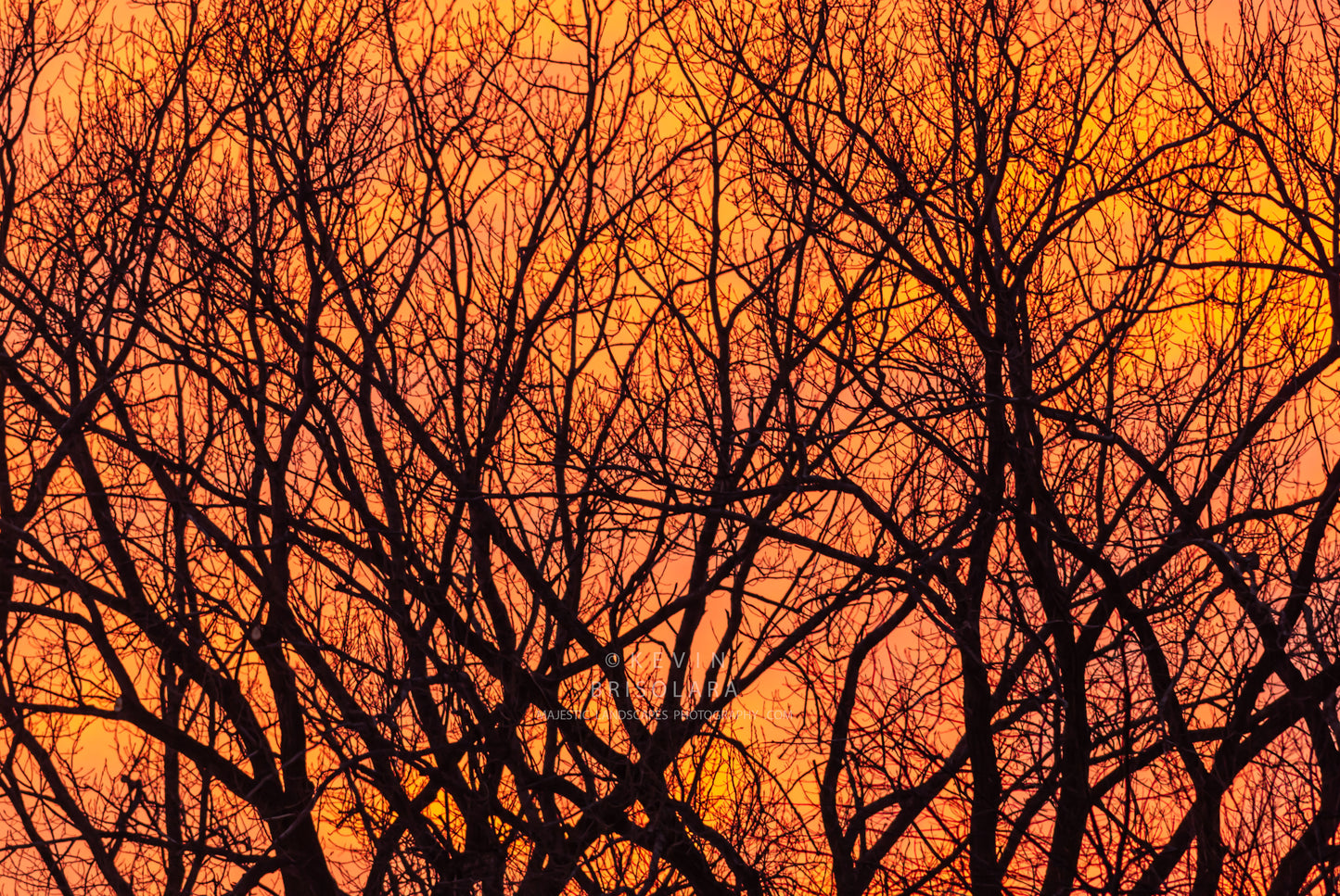 AN EVENING WALK THROUGH THE PARK