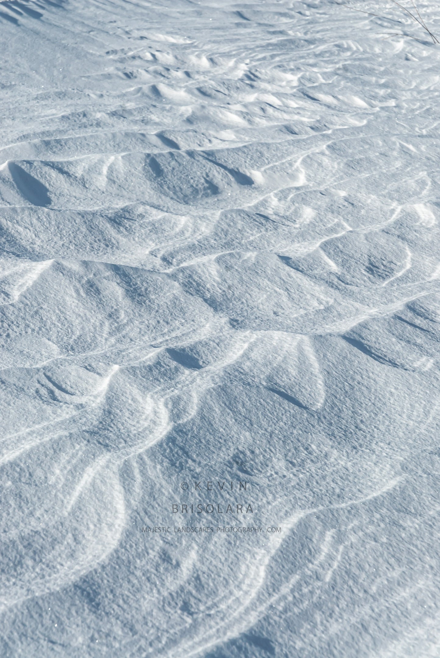 A WINDSWEPT LANDSCAPE