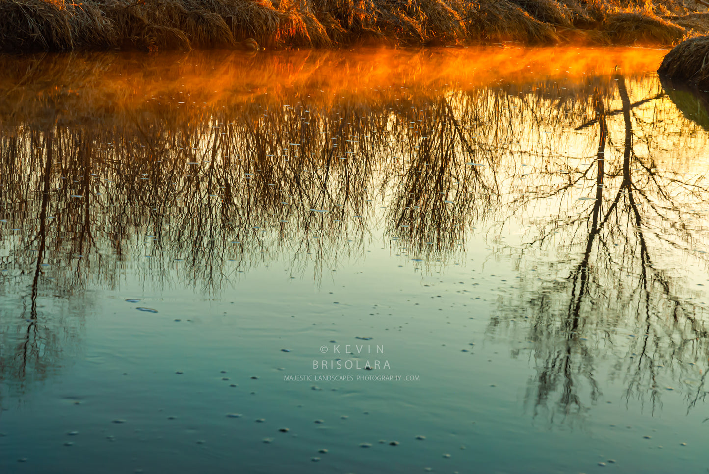 GOLDEN MIST AND REFLECTIONS FROM THE RIVER