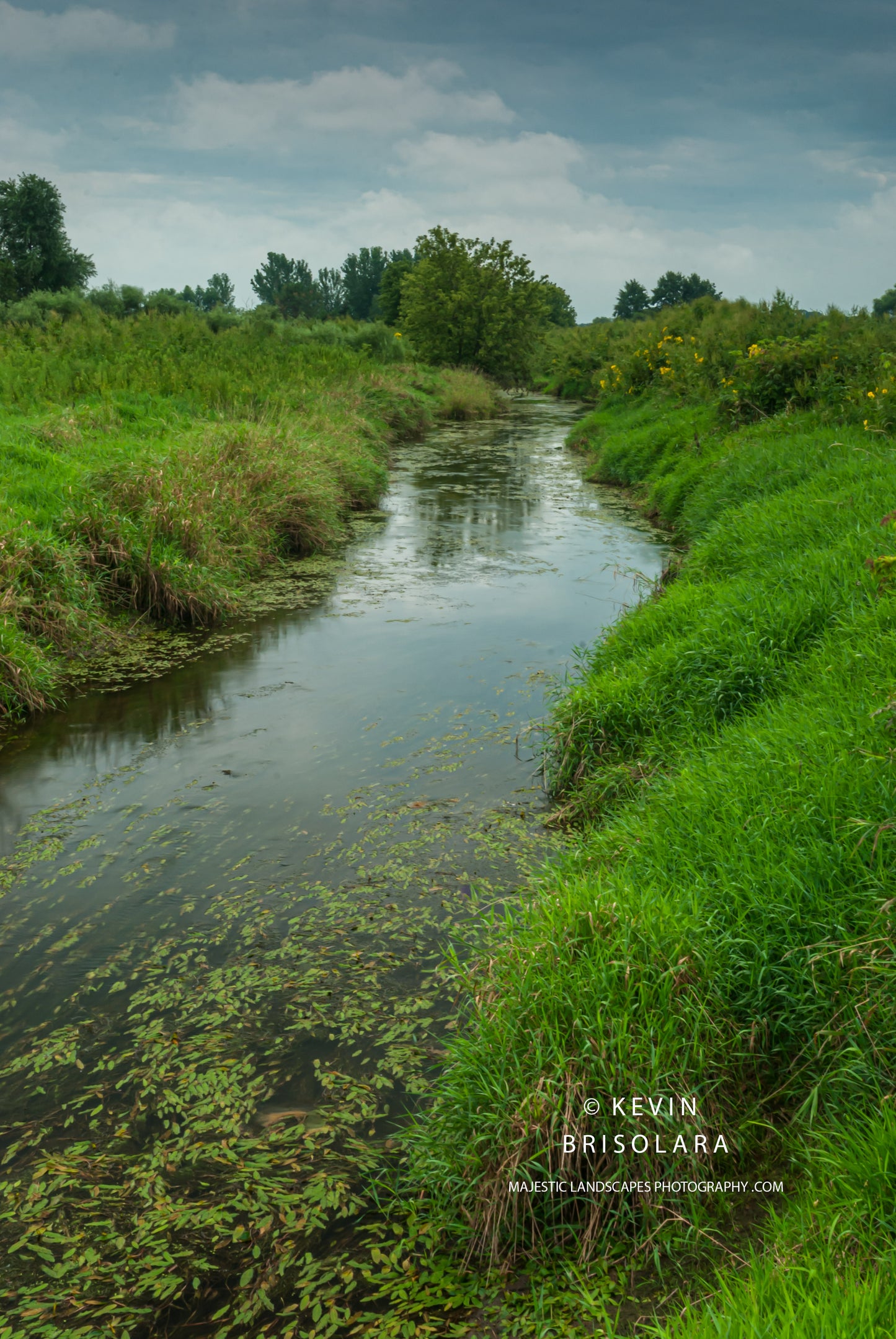 SOFT LIGHTING FROM THE TOTAL SOLAR ECLIPSE