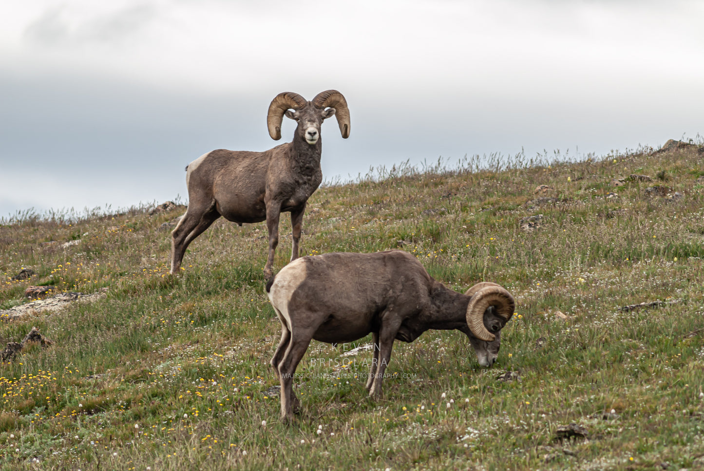 A SERENE MOMENT UP ON TUNDRA