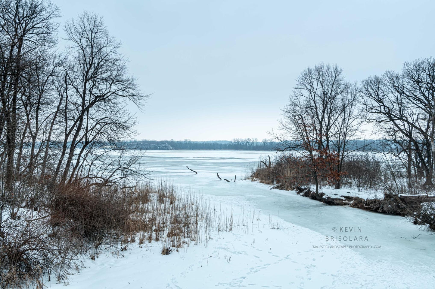 THE MOUTH OF A FROZEN CREEK