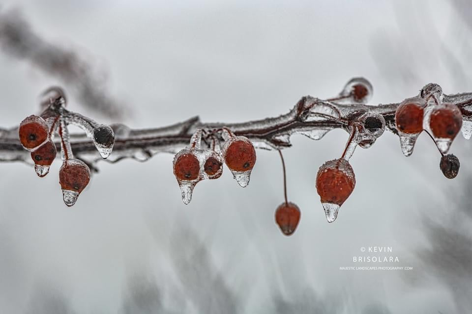 MORNING OF ICE