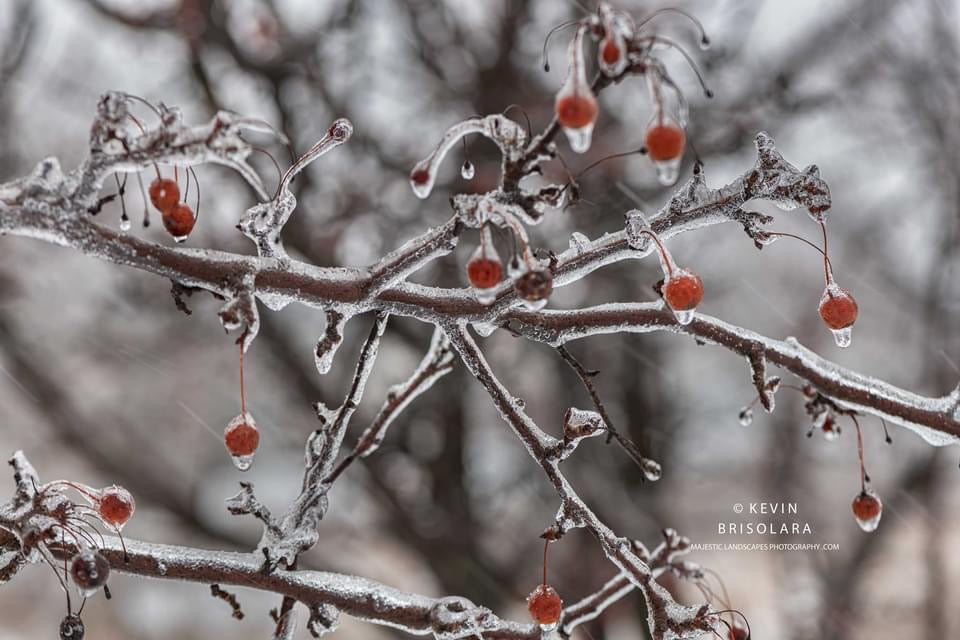 WINTER OF SNOW AND ICE