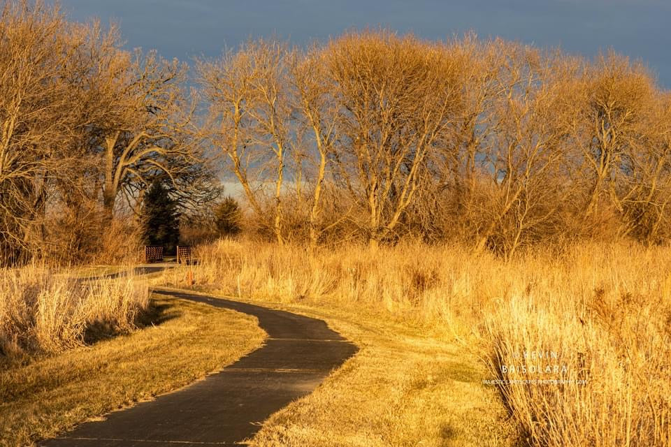 THE GOLDEN PRAIRIE