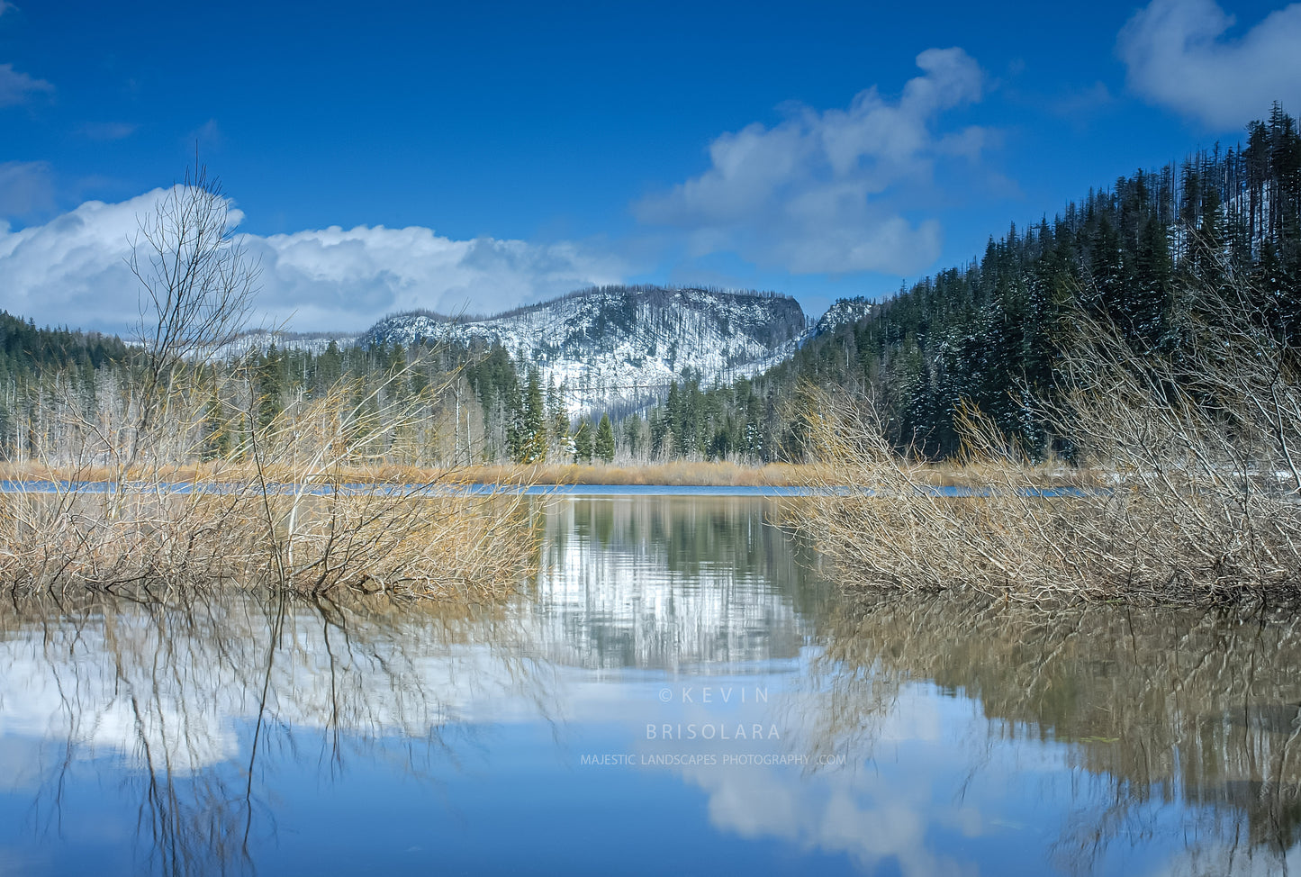 NOTE CARDS LOST LAKE- 144_254 WILLAMETTE NATIONAL FOREST