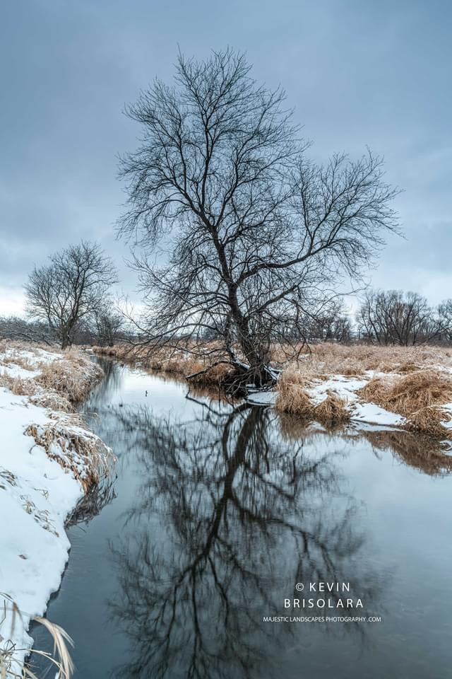 A TIME FOR REFLECTING