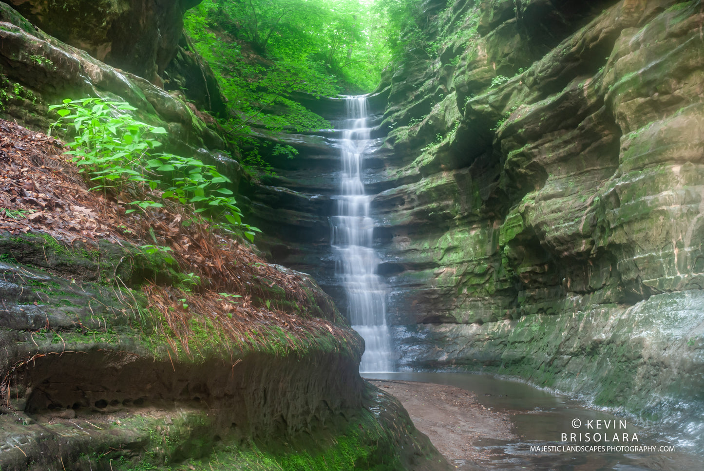 FRENCH CANYON FALLS