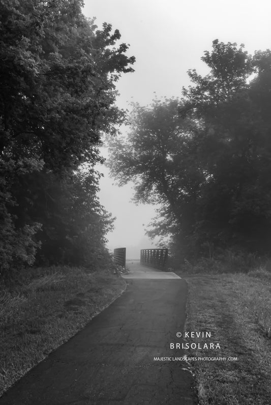 WALKING THROUGH AN ETHEREAL ATMOSPHERE