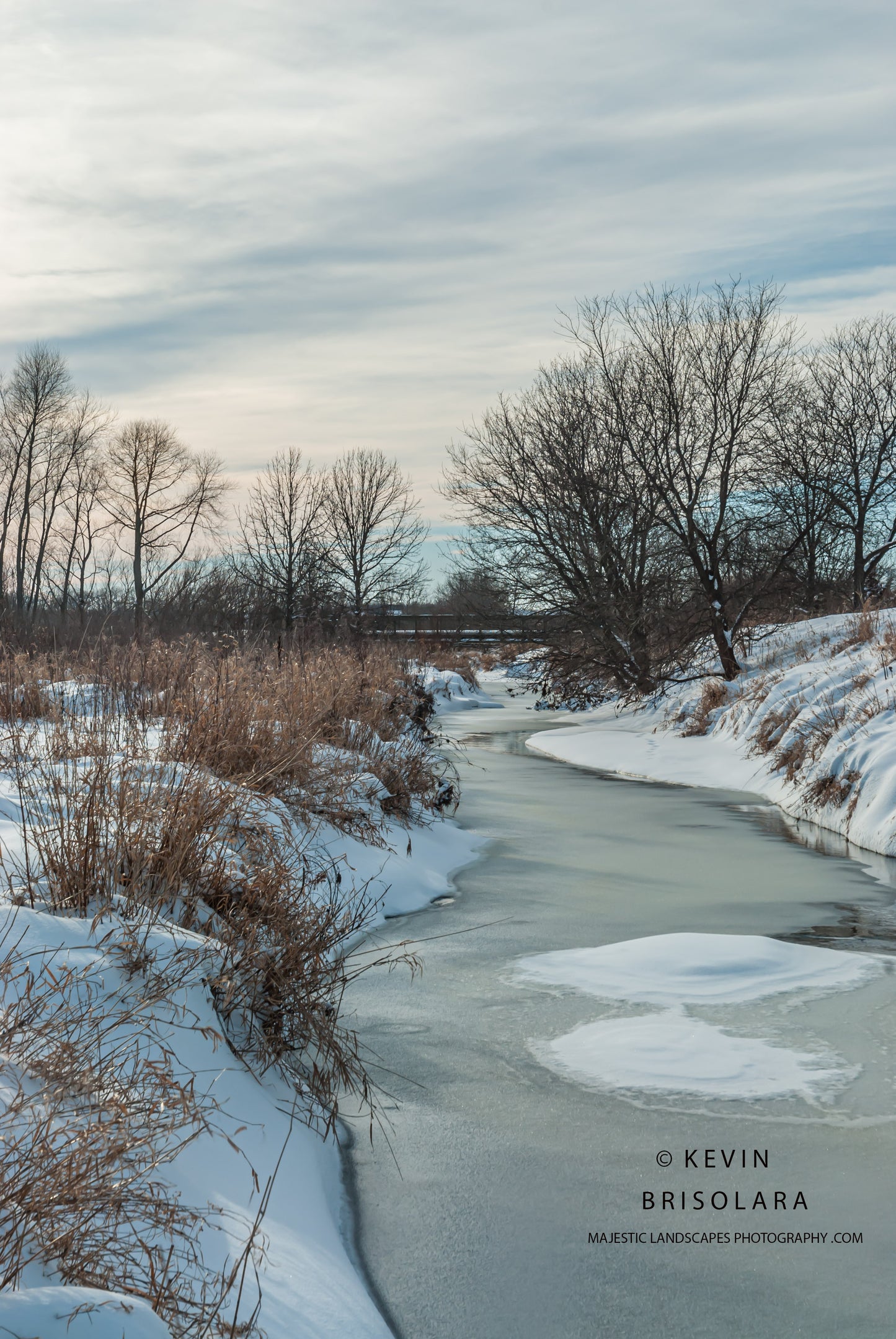 ENJOYING THE WINTER SCENE IN THE PARK
