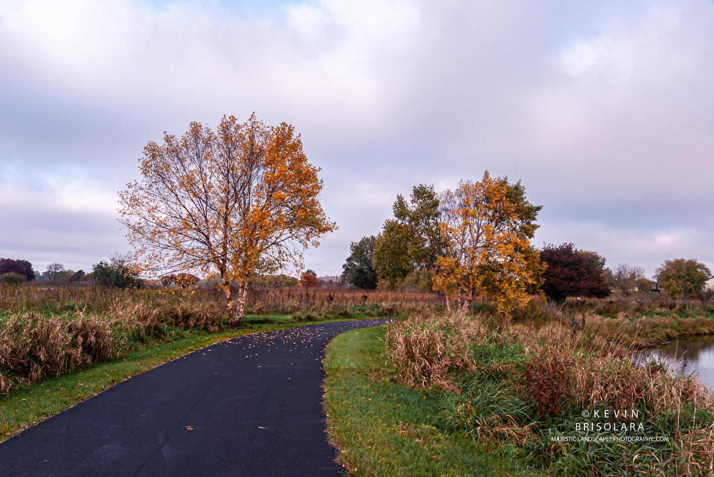 WALKING AMONGST THE COLOR OF AUTUMN