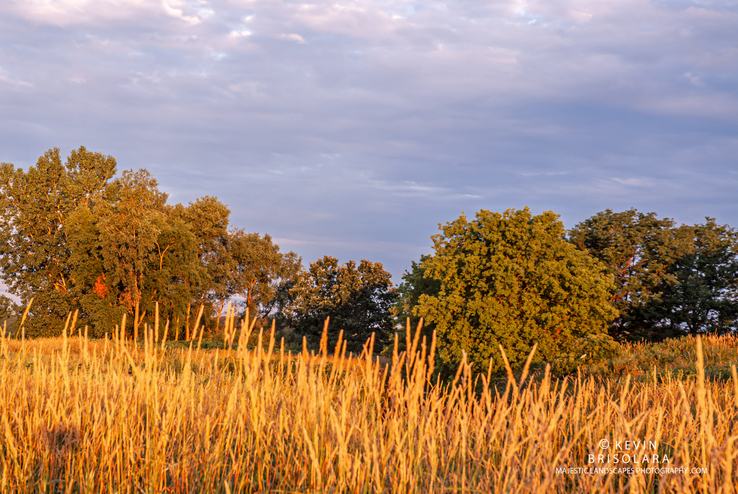 LIGHT, NATURES PAINTBRUSH