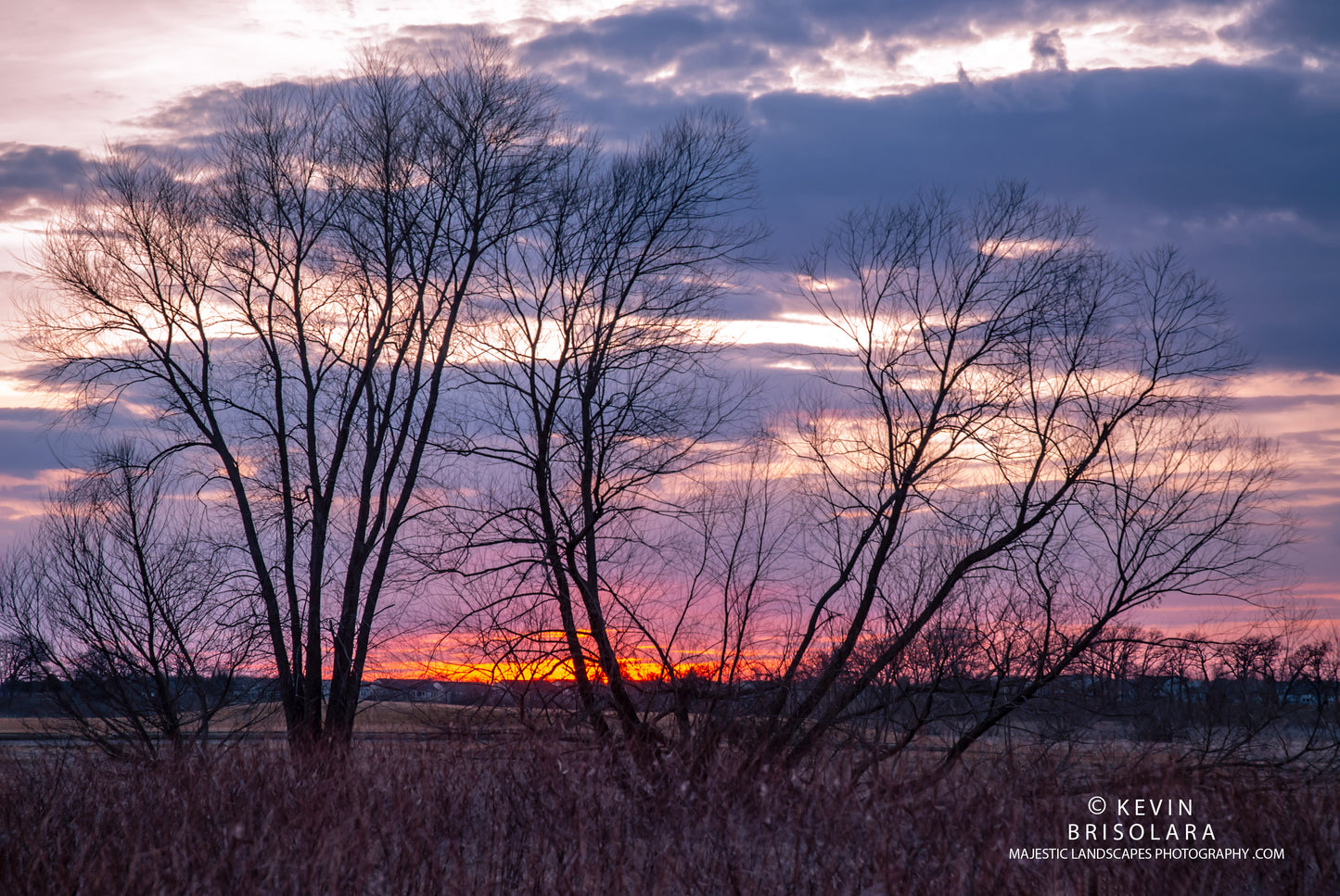 NOTE CARDS 560_127 SUNSET, PEACHLEAF WILLOW TREES
