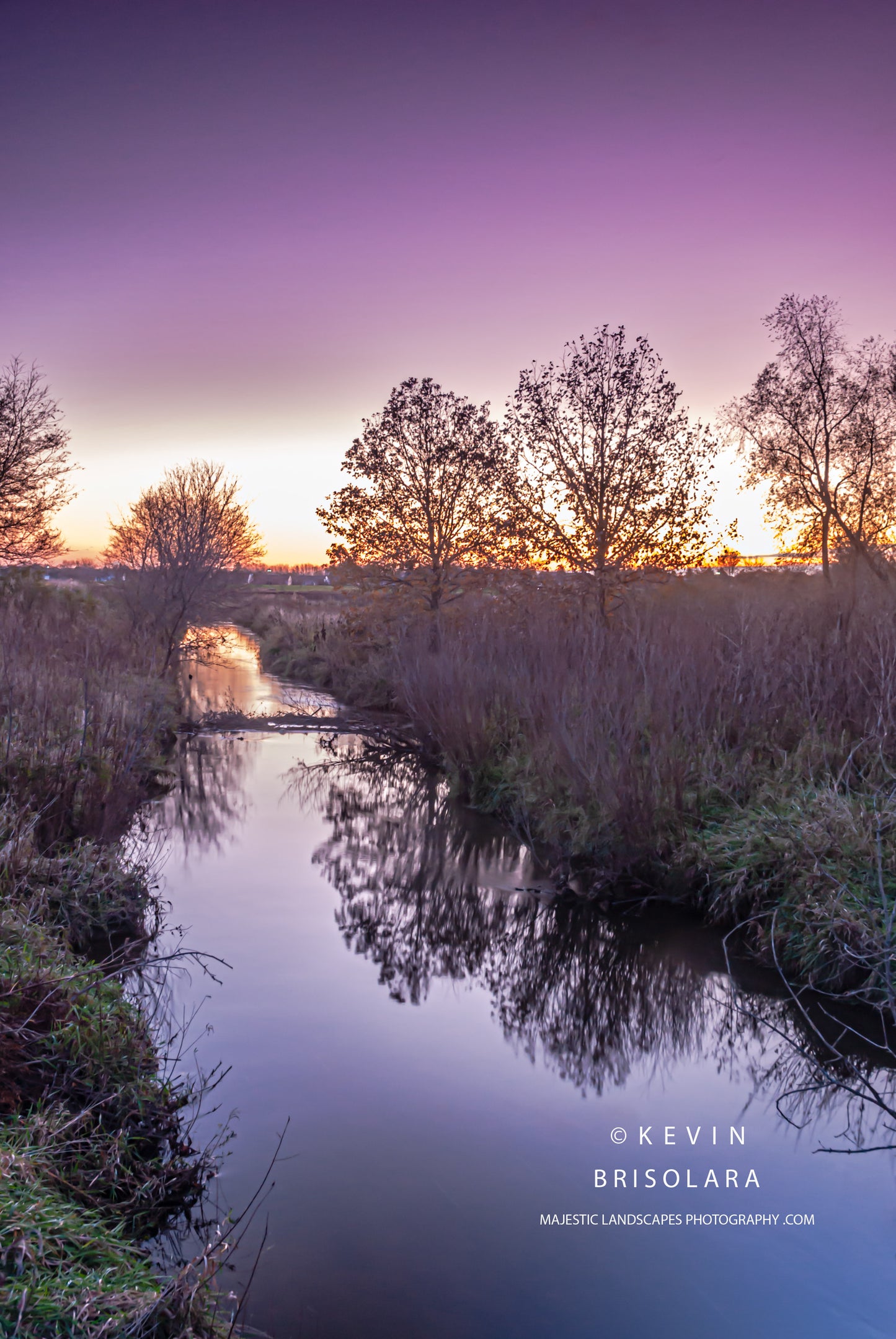 MORNING REFLECTIONS FROM THE RIVER