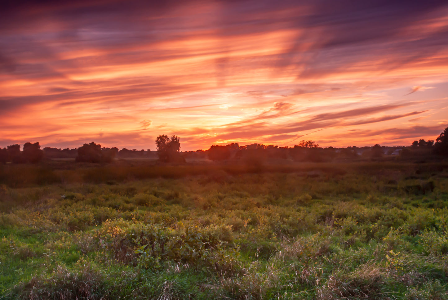 MAJESTIC SUNSET FROM THE PARK