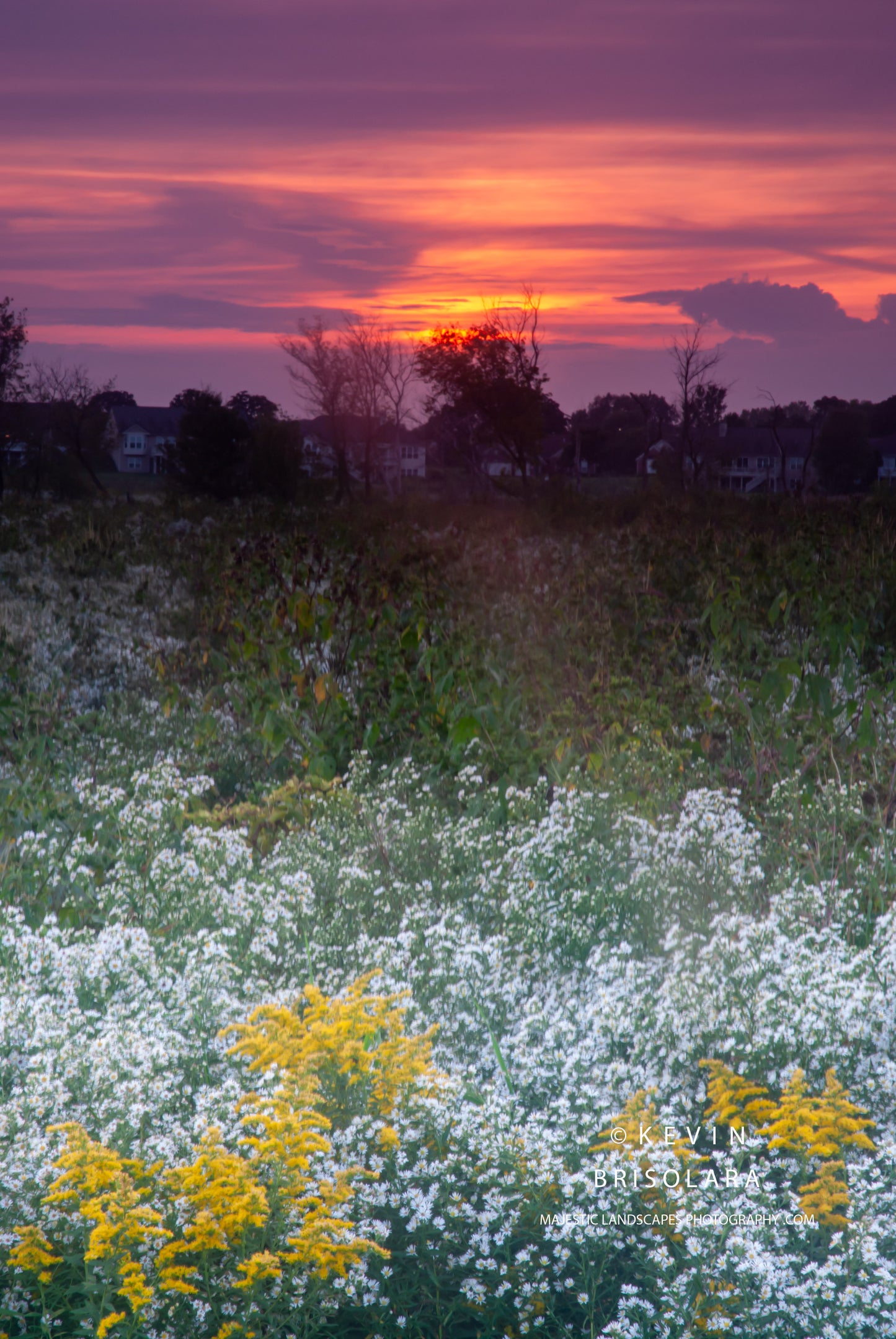 A BEAUTIFUL EVENING SUNSET