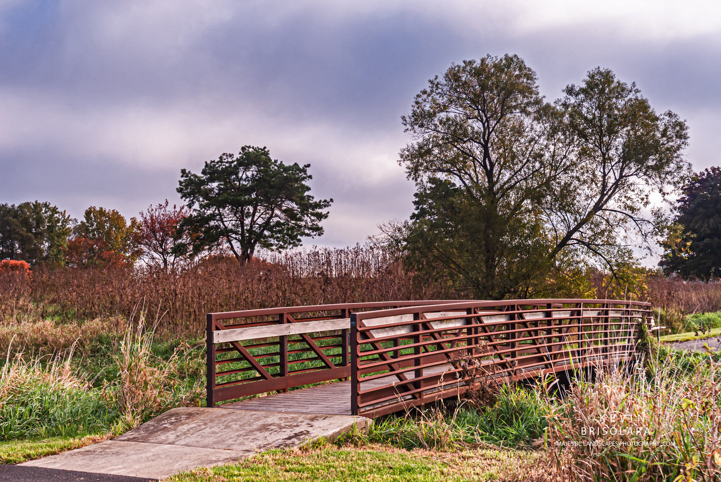 CROSSING THE BRIDGE TO THE PARK