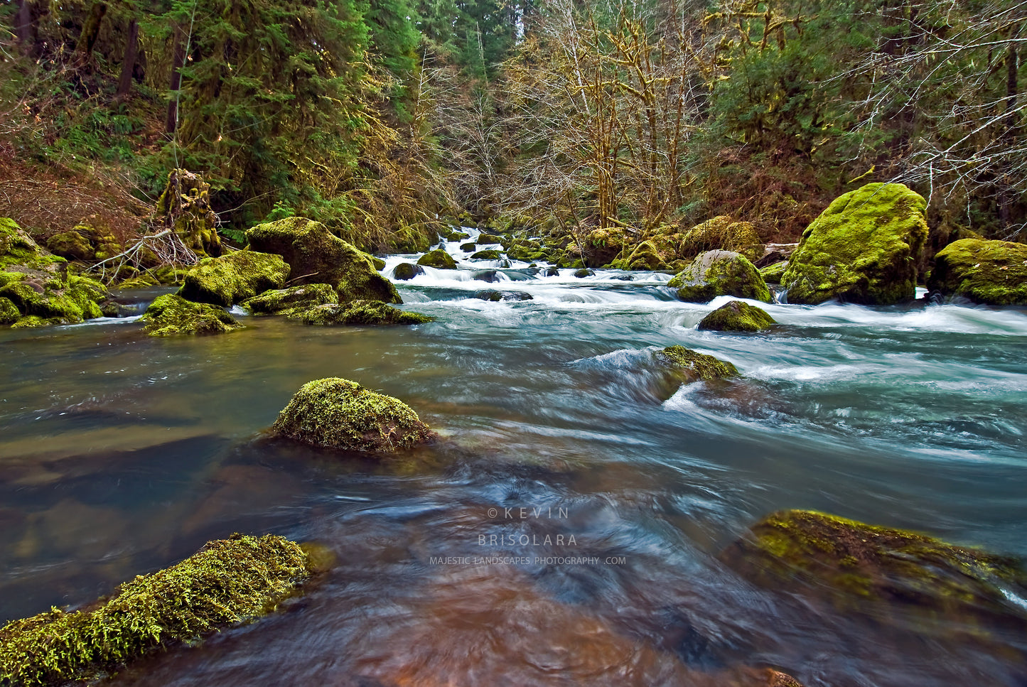NOTE CARDS 210_600 LAYING CREEK, UMPQUAN NATIONAL FOREST