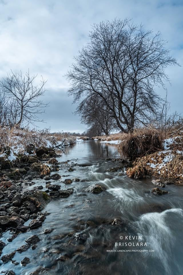 LISTENING TO THE CREEK