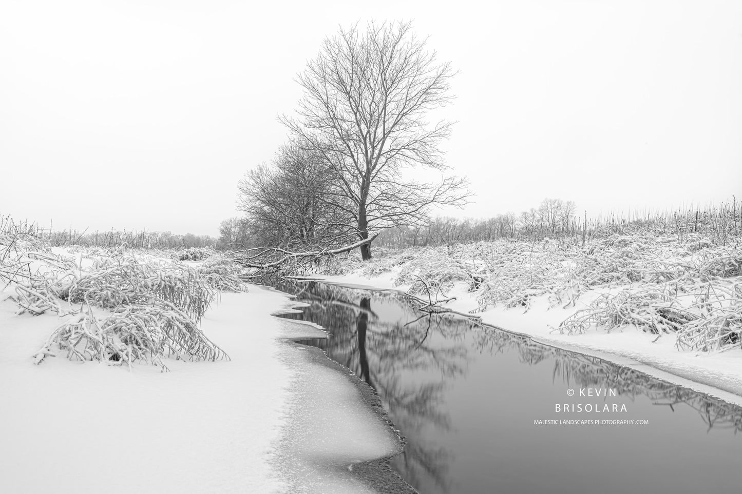 HOLIDAY GREETING CARDS 684-3402  SNOW, REFLECTIONS, EAKIN CREEK WEST, BOX ELDER TREES