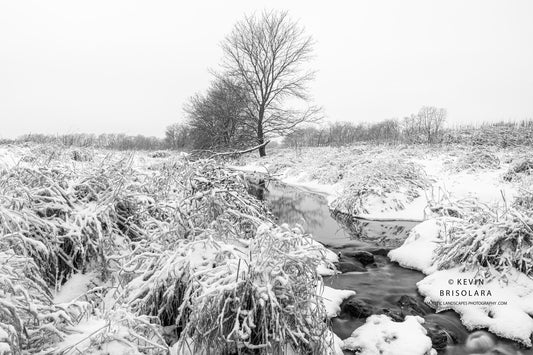 HOLIDAY GREETING CARDS 684-3398  SNOW, REFLECTIONS, EAKIN CREEK WEST, BOX ELDER TREES