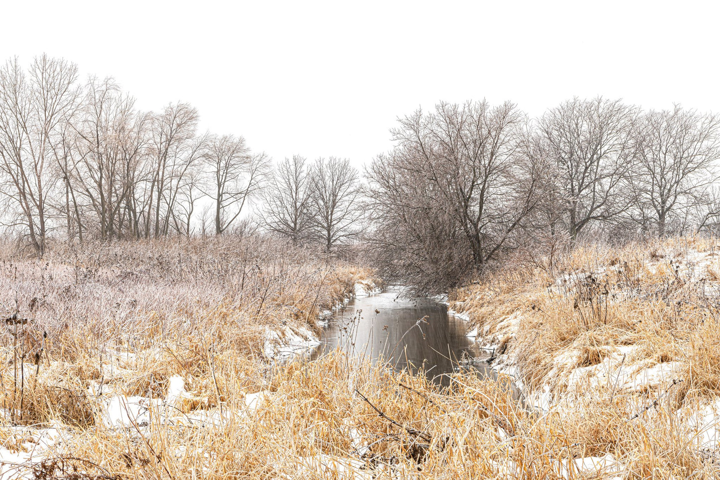 HOLIDAY GREETING CARDS 625-493  SOUTH FORK KISHWAUKEE RIVER, PEACHLEAF WILLOW TREES, BOX ELDER TREES