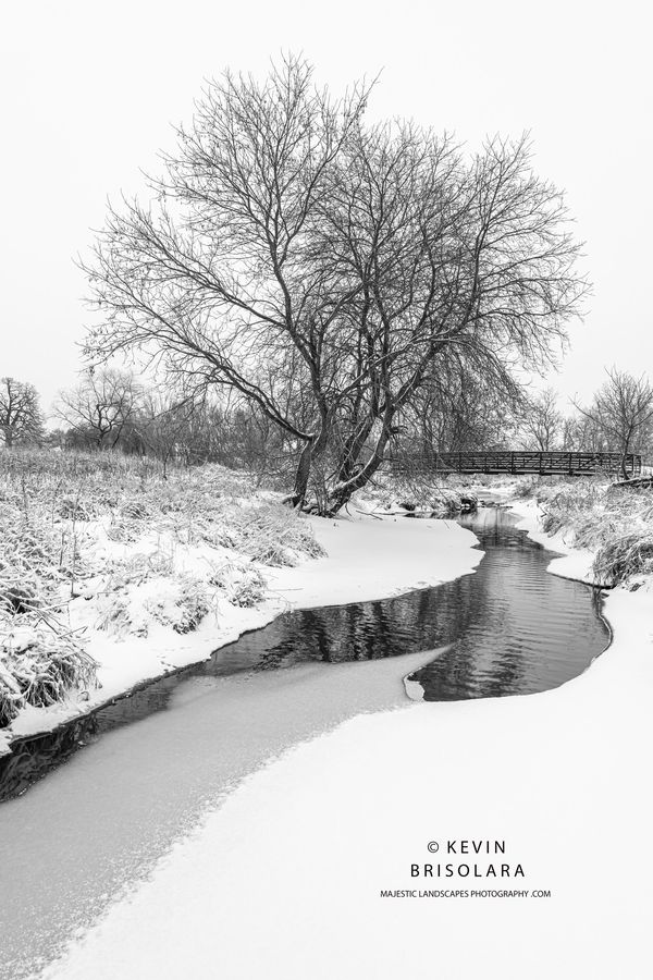 HOLIDAY GREETING CARDS 684-3416  SNOW, REFLECTIONS, EAKIN CREEK WEST, BOX ELDER TREES