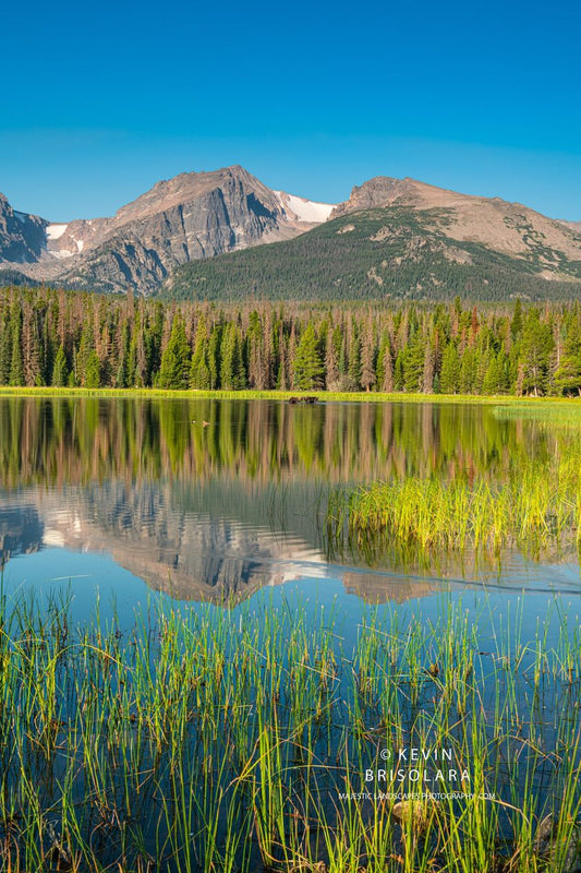 BIERSTADT LAKE AND THE MOUNTAINS