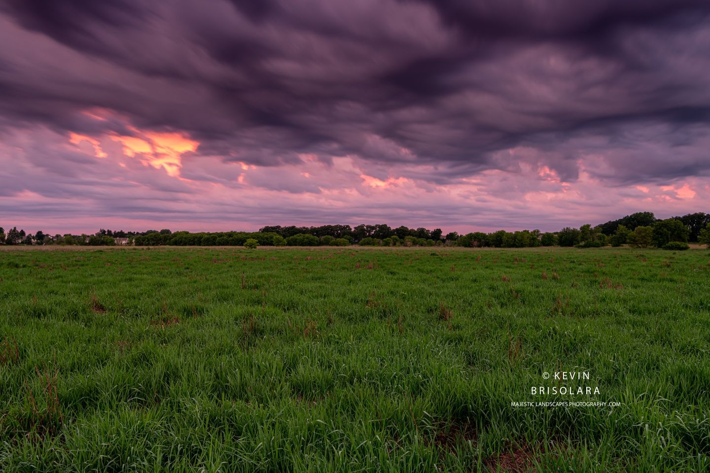 PRAIRIE COLORS