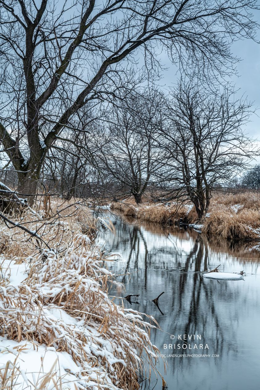 REFLECTIONS FROM A WINTER MORNING