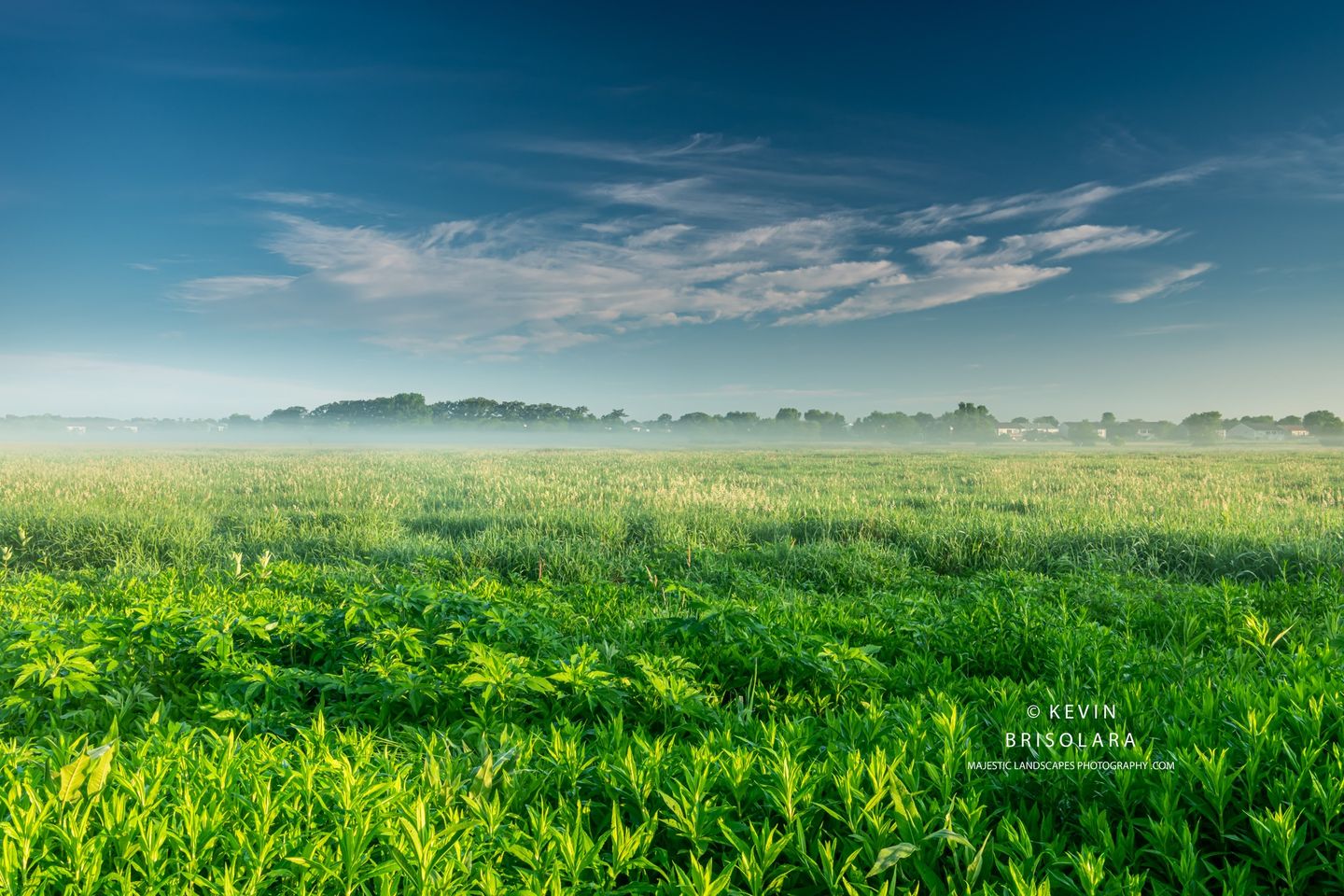 WALKING THROUGH THE PRAIRIE