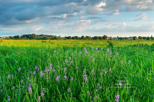 ENJOYING AN EARLY MORNING ON THE PRAIRIE