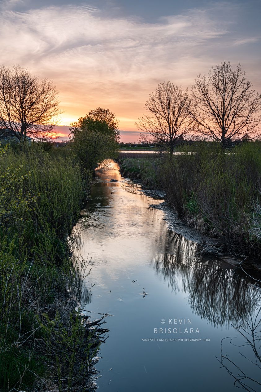 REFLECTING THE MORNING COLORS