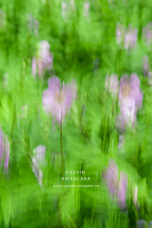 VIEW OF BEAUTY ALONG THE RIVER