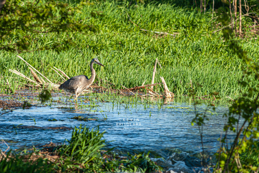 TAKING ADVANTAGE OF AN OPPORTUNITY