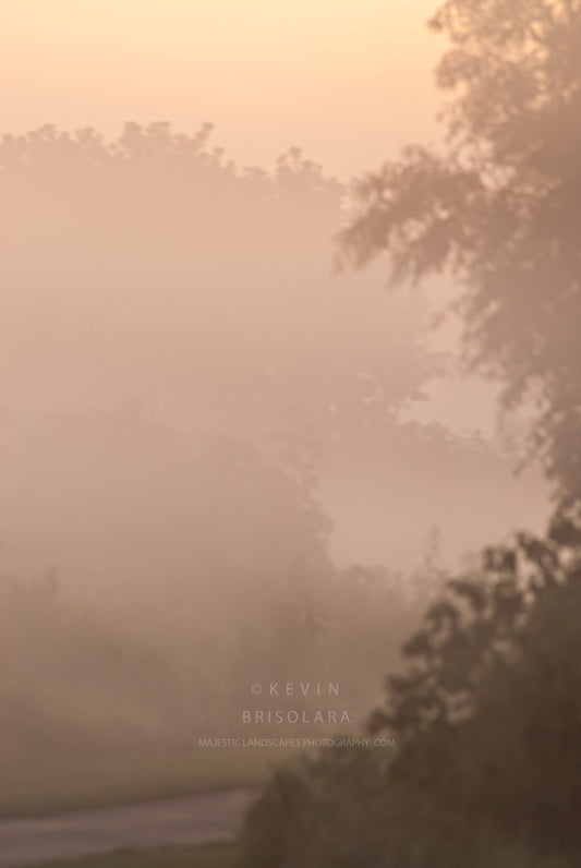 MYSTERY AND SUSPENSE FROM A MISTY MORNING