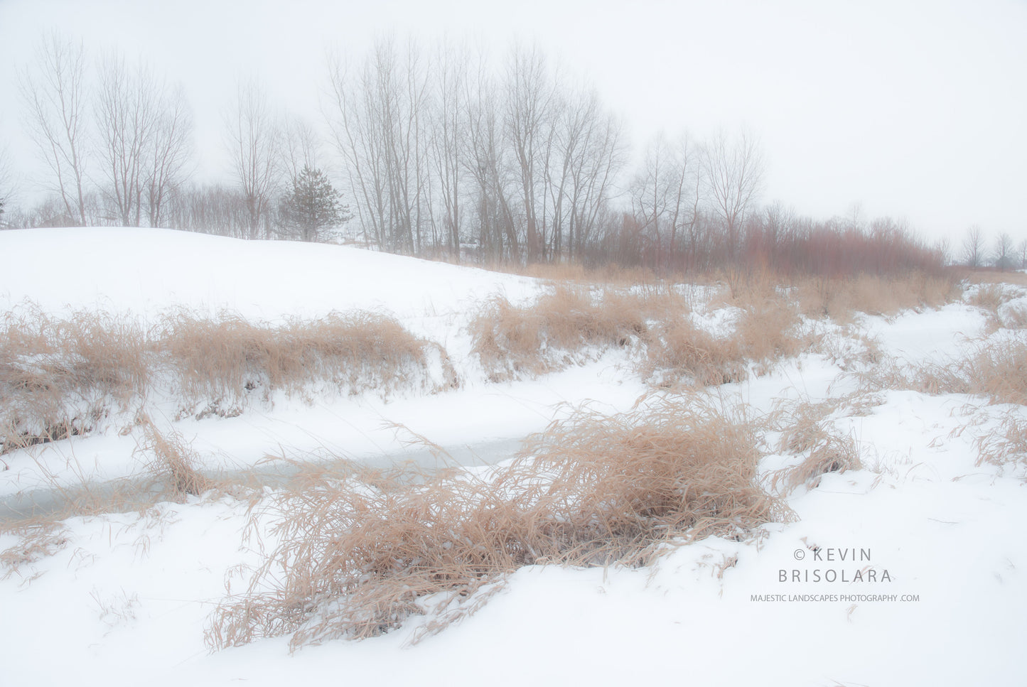 HOLIDAY GREETING CARDS 476-110  SNOW, ICE, GRASSES, SOUTH FORK KISHWAUKEE RIVER