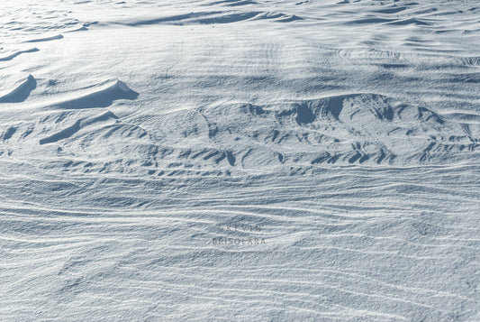 SHAPES AND TEXTURES