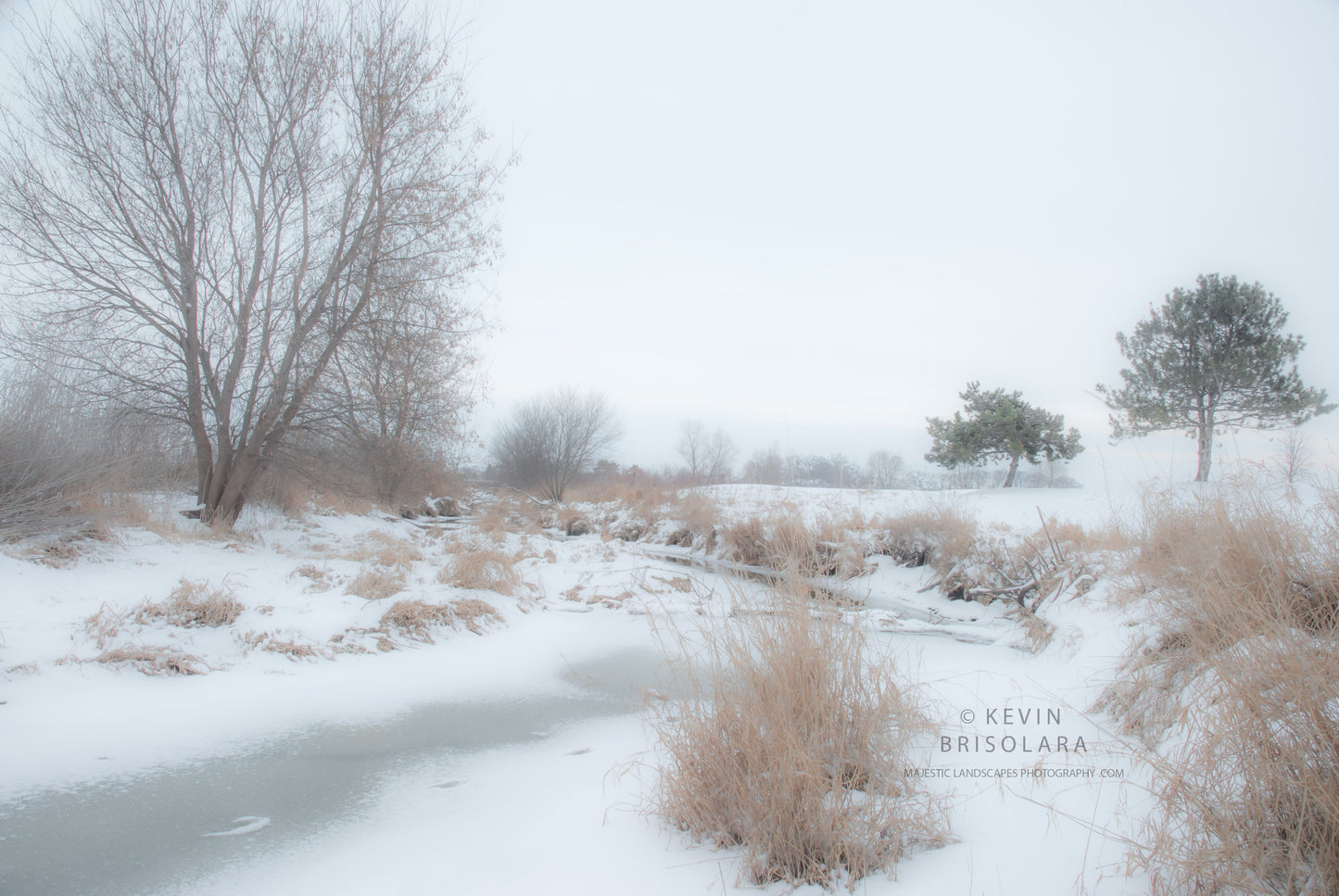 HOLIDAY GREETING CARDS 476-111  SNOW, ICE, GRASSES, BOX ELDER TREE, SOUTH FORK KISHWAUKEE RIVER