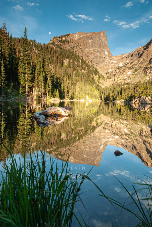 REFLECTING HALLETT
