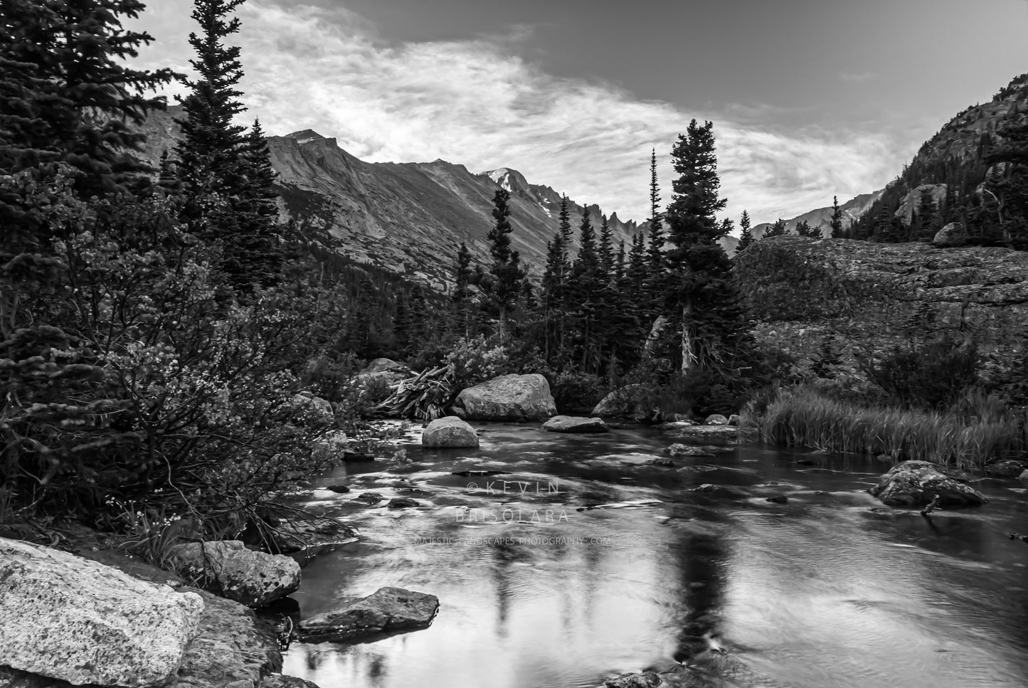 STANDING TALL TO GLACIER CREEK