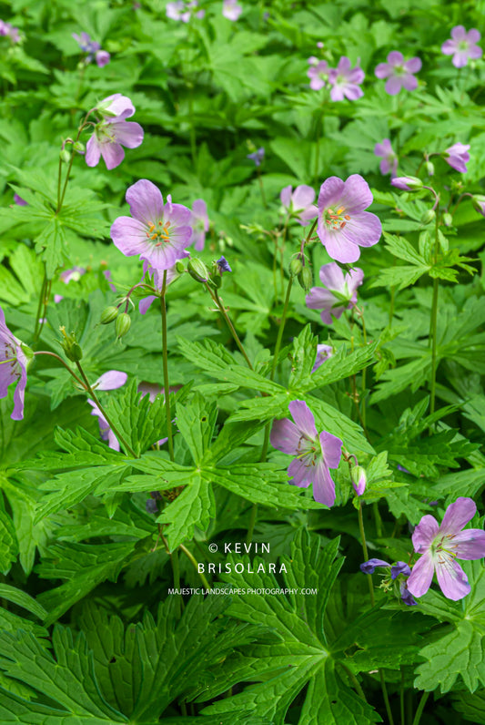 SPENDING TIME OUTDOORS